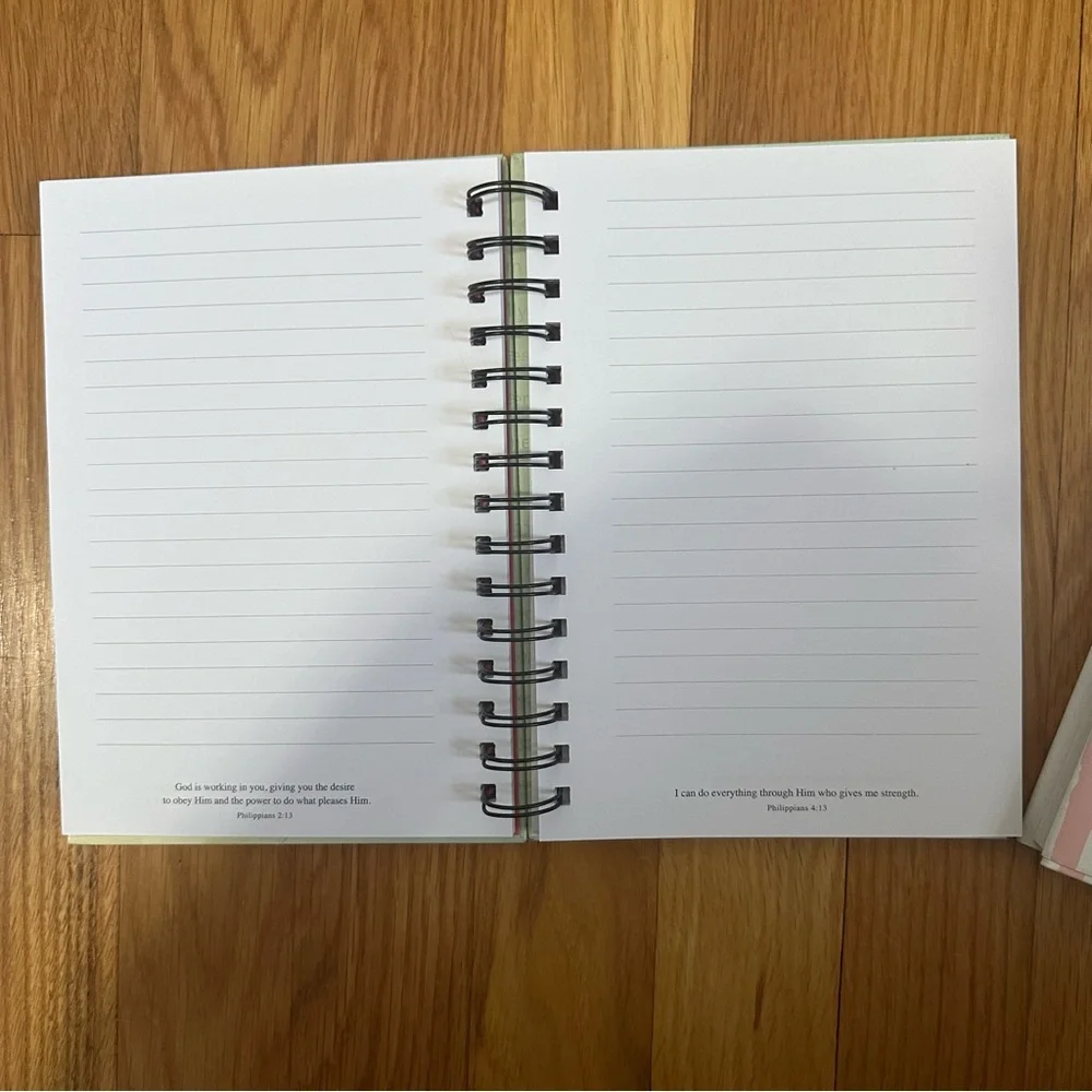 100 Days to Brave by Annie Downs Devotional and blank Christian Journal NEW